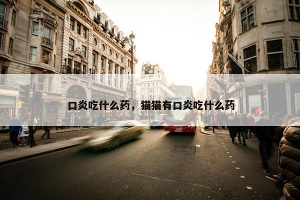 口炎吃什么药,猫猫有口炎吃什么药
