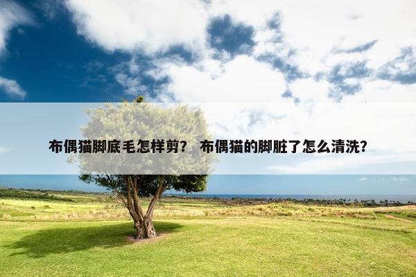 布偶猫 第9页