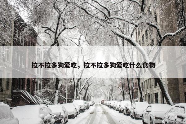 拉不拉多 第7页