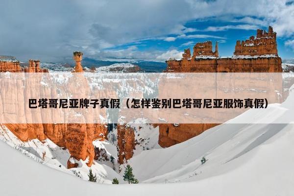 真假