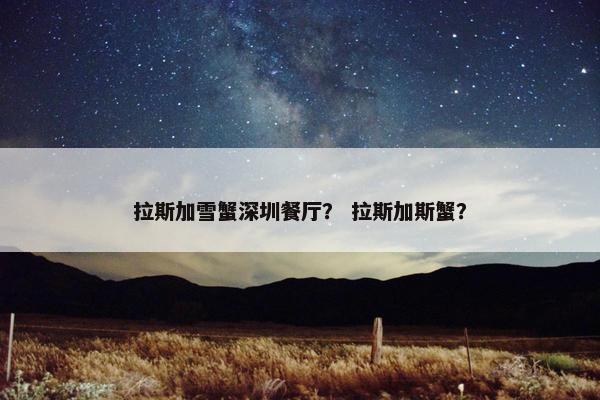 自助