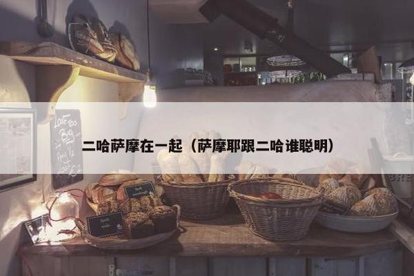 二哈萨摩在一起（萨摩耶跟二哈谁聪明）