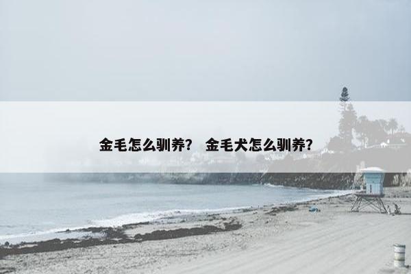 金毛怎么驯养? 金毛犬怎么驯养?
