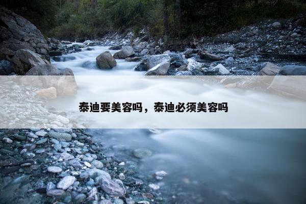 泰迪要美容吗,泰迪必须美容吗
