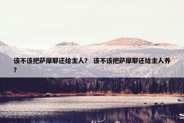该不该把萨摩耶还给主人? 该不该把萨摩耶还给主人养?