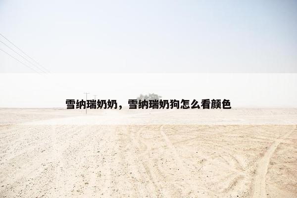 雪纳瑞奶奶，雪纳瑞奶狗怎么看颜色