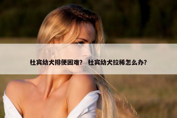 杜宾幼犬排便困难? 杜宾幼犬拉稀怎么办?