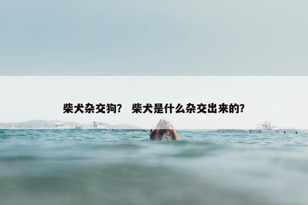 柴犬杂交狗？ 柴犬是什么杂交出来的？