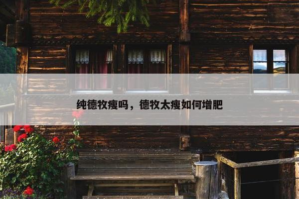 德牧 第9页