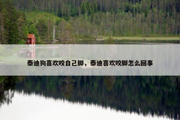 泰迪狗喜欢咬自己脚，泰迪喜欢咬脚怎么回事