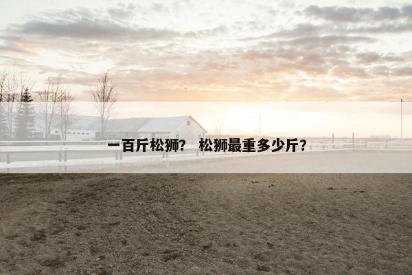 一百斤松狮？ 松狮最重多少斤？