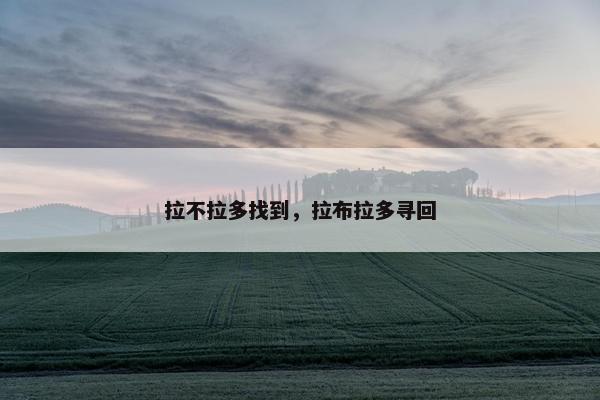 拉不拉多找到，拉布拉多寻回