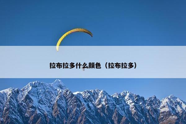 拉布拉多什么颜色（拉布拉多）