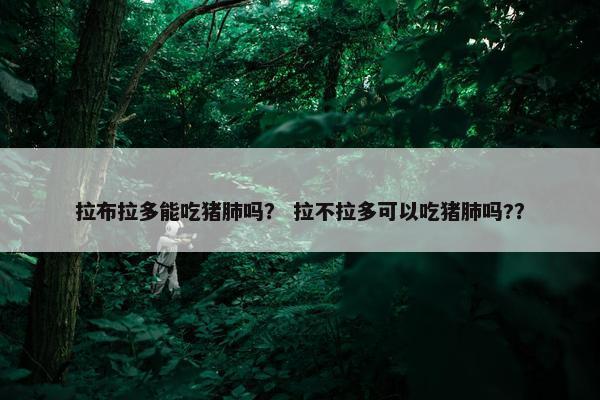 拉布拉多能吃猪肺吗？ 拉不拉多可以吃猪肺吗?？