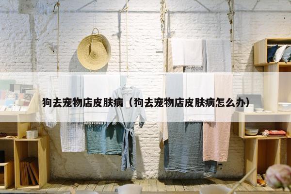 狗去宠物店皮肤病（狗去宠物店皮肤病怎么办）