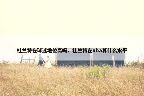 杜兰特在球迷地位高吗，杜兰特在nba算什么水平