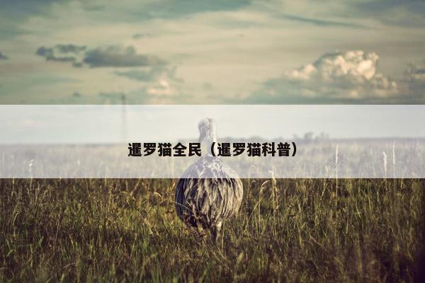 暹罗猫全民（暹罗猫科普）