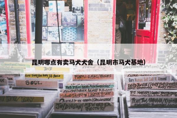 昆明哪点有卖马犬犬舍(昆明市马犬基地)