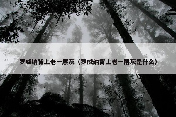 罗威纳背上老一层灰(罗威纳背上老一层灰是什么)