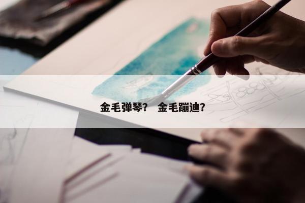 金毛 第11页