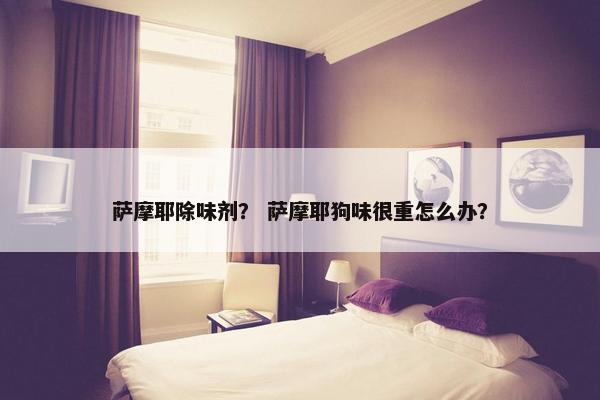 萨摩耶除味剂？ 萨摩耶狗味很重怎么办？