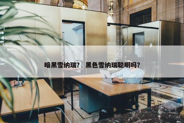 暗黑雪纳瑞？ 黑色雪纳瑞聪明吗？