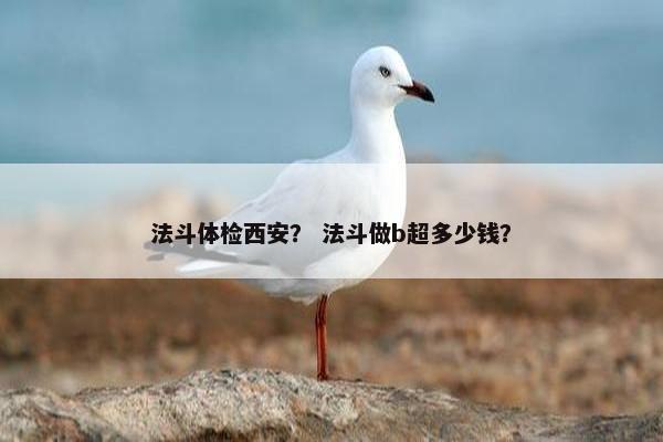 大便