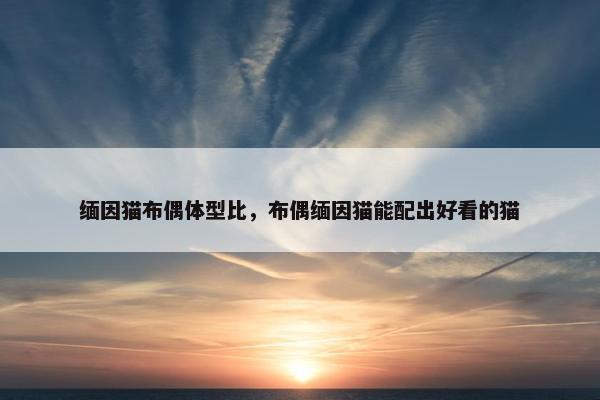 缅因猫布偶体型比,布偶缅因猫能配出好看的猫