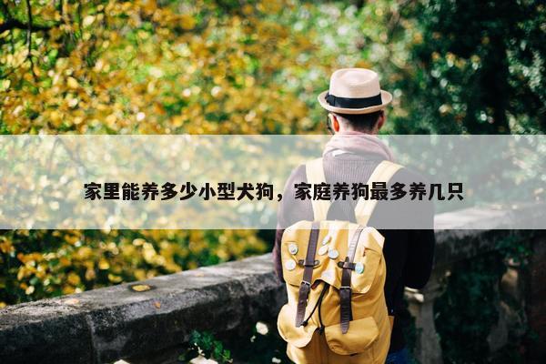 家里能养多少小型犬狗，家庭养狗最多养几只