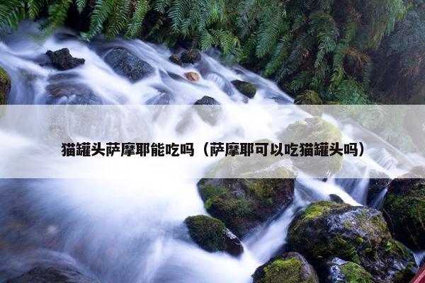 萨摩耶 第9页