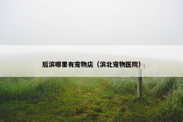 后滨哪里有宠物店（滨北宠物医院）