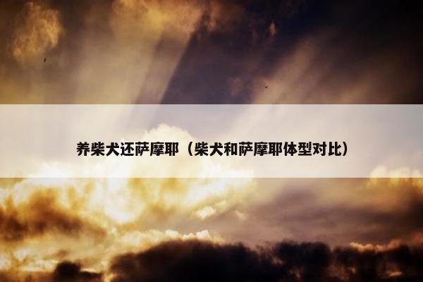 养柴犬还萨摩耶（柴犬和萨摩耶体型对比）