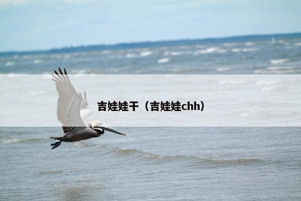 吉娃娃干（吉娃娃chh）