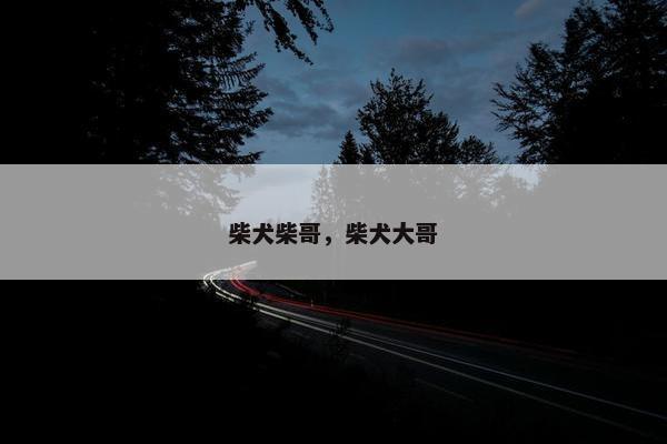 柴犬柴哥，柴犬大哥