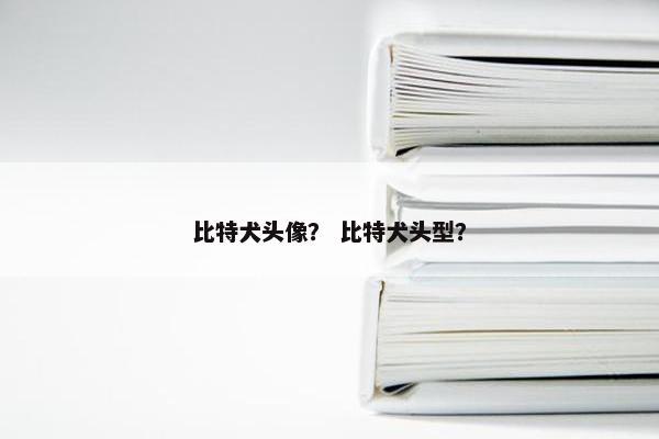 比特犬头像？ 比特犬头型？
