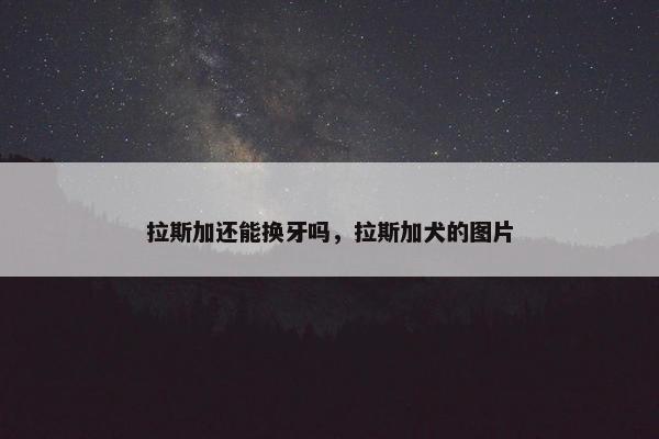 拉斯加还能换牙吗，拉斯加犬的图片
