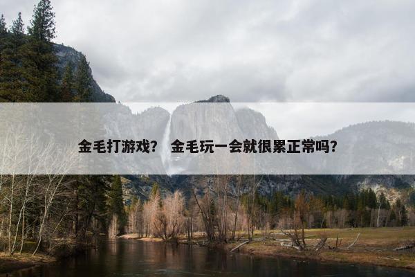 金毛打游戏？ 金毛玩一会就很累正常吗？