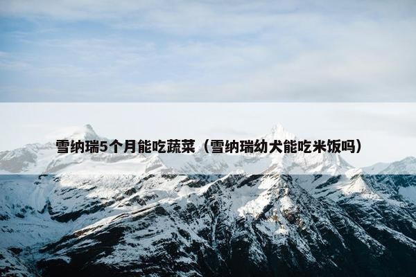 雪纳瑞5个月能吃蔬菜（雪纳瑞幼犬能吃米饭吗）