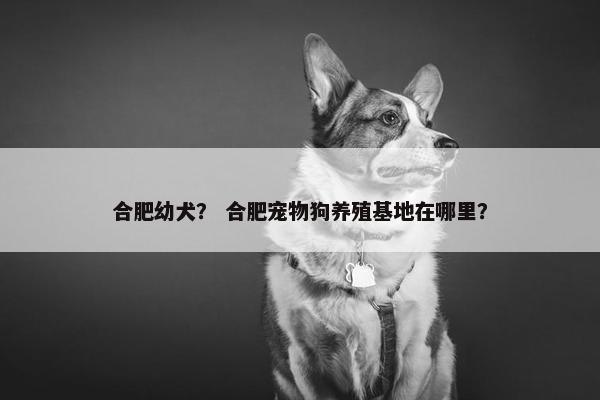 合肥幼犬？ 合肥宠物狗养殖基地在哪里？