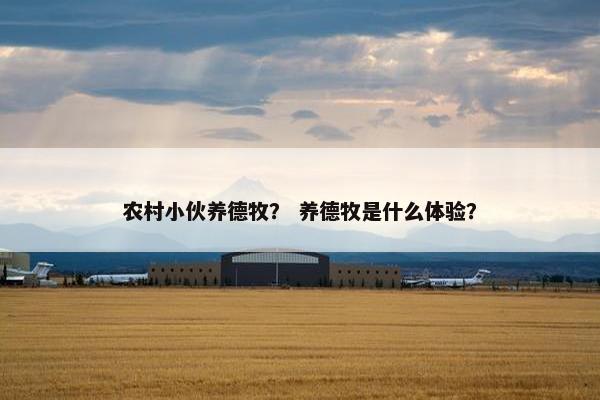 农村小伙养德牧？ 养德牧是什么体验？