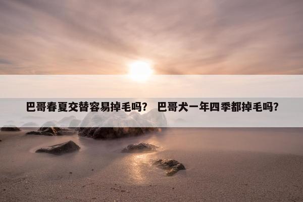 巴哥春夏交替容易掉毛吗？ 巴哥犬一年四季都掉毛吗？