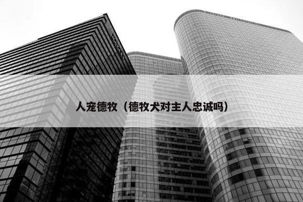 人宠德牧（德牧犬对主人忠诚吗）