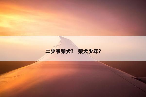 二少爷柴犬? 柴犬少年?