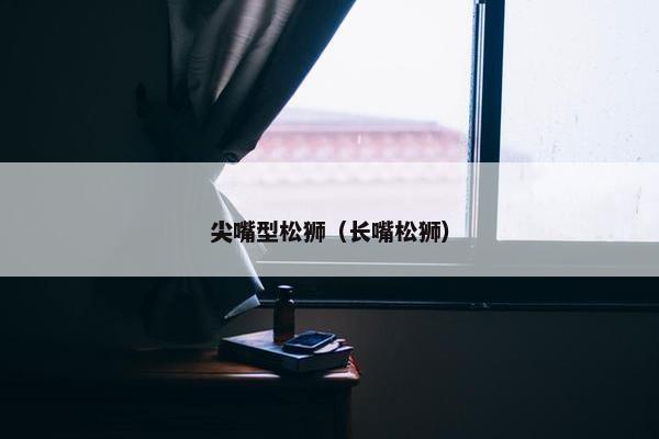 尖嘴型松狮（长嘴松狮）