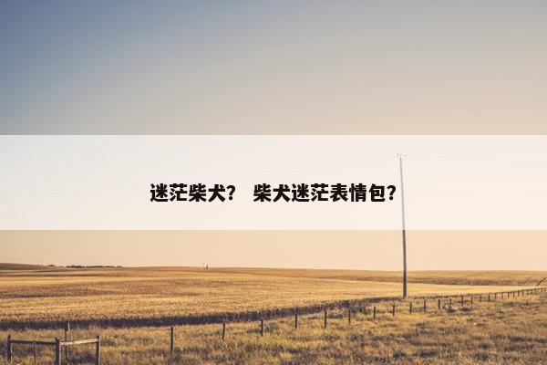 迷茫柴犬? 柴犬迷茫表情包?