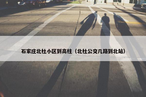 石家庄北杜小区到高柱（北杜公交几路到北站）