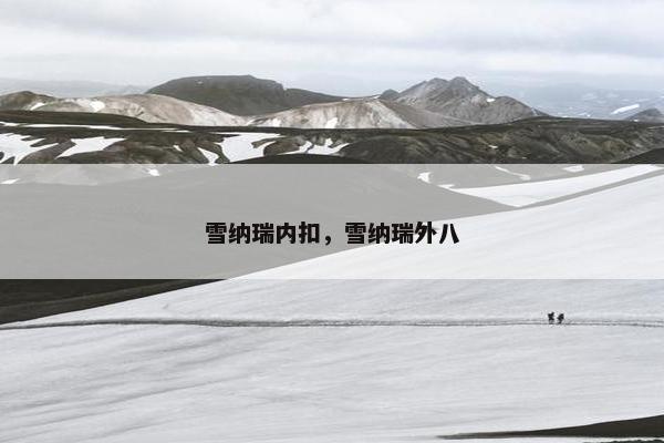 雪纳瑞内扣，雪纳瑞外八