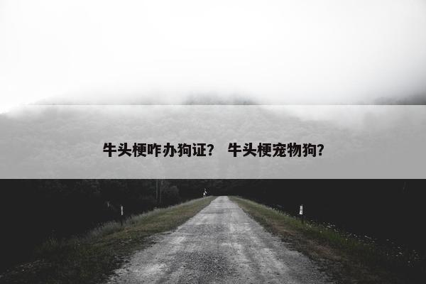 牛头梗咋办狗证？ 牛头梗宠物狗？