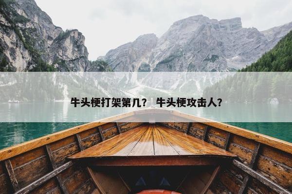 牛头梗打架第几？ 牛头梗攻击人？