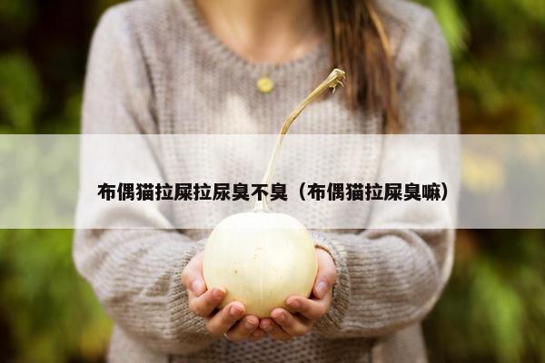 布偶猫拉屎拉尿臭不臭(布偶猫拉屎臭嘛)